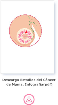 Descargue Estadificación